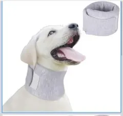 Item thumbnail for item 92a5c2a4-569d-4ad4-a97f-2f8b06332ce1