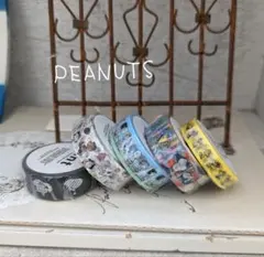 mt×PEANUTS マスキングテープ5本セットのサムネイル
