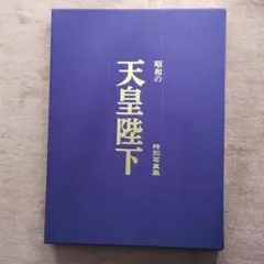 Item thumbnail for item 04b0bdad-45c5-4536-bd54-eefe78f2ee5e