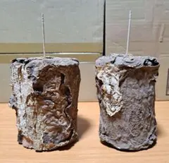 Item thumbnail for item 61550473-946e-4785-9355-eb328e6676a3