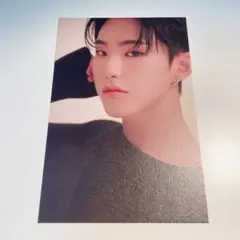 SEVENTEEN セブチ ホシ your choice ポスカ