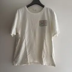 Have a grateful day gohemp tacoma fujiのサムネイル