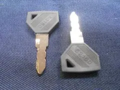 Item thumbnail for item c4a10cf0-149c-4a65-b5b8-a9fc0ae74f11