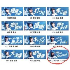 2026年最新】ファイターズ かわいいタオル レイエスの人気アイテム