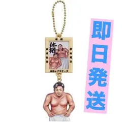 体格ブラザーズ ビッグボディーコレクション★額装キーホルダー●ガチャ★平子さん