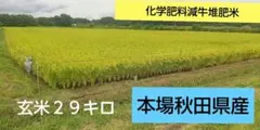 本場秋田県産 令和7年産あきたこまち玄米2 9キロ③のサムネイル