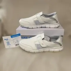 Item thumbnail for item 65d87104-d0e5-4d4e-b315-113cbdb37e2b