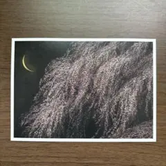 2025年最新】千住博絵画の人気アイテム - メルカリ