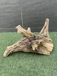 Item thumbnail for item 2c4e74b7-f463-400c-b470-c3e92c53f3db