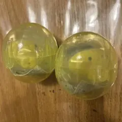 たまごっち　フロッキーズ　まめっち　2個セット