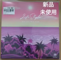 MUD LIFE STYLE 7INCH レコード KANDYTOWN