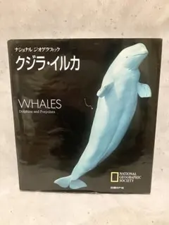 Item thumbnail for item 8a0fd7ab-9609-49aa-82f0-f9220406ee09