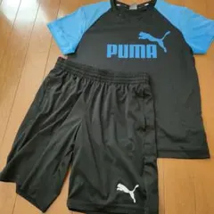 キッズ Tシャツショートパンツセット150