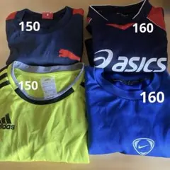 Item thumbnail for item 8056ccbe-9204-4f37-b4ac-fad38c34613e