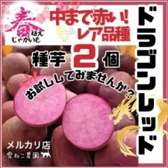 2026年最新】インカのめざめ 種芋の人気アイテム - メルカリ