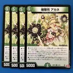 デュエマ　24RP4 爆翠月 アカネ　4枚
