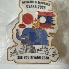 2026年最新】サウジアラビアピンバッジの人気アイテム - メルカリ