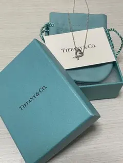 Tiffany パロマピカソ　ラビングハートペンダント　シルバー　small