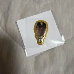 ソフトバンクホークス　近藤健介　シール