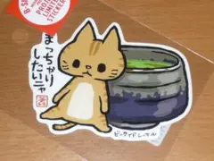限定 ネコ まっちゃりしたいニャ 抹茶 猫 ステッカー B-SIDE LABEL