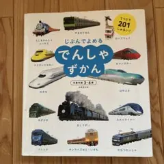 じぶんでよめるでんしゃずかん