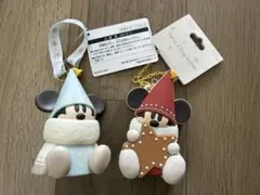 東京ディズニーリゾート　バッグチャーム　ケース付き　ミッキー&ミニー