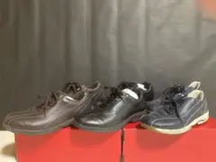 Item thumbnail for item a3916fc5-526a-40d4-a4ab-a358ac0d5481