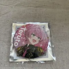 STPR Family Festival ランダム缶バッジ 騎士X てるとくん