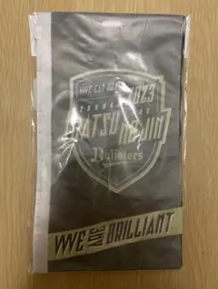 2023 夏の陣チケットホルダー【オリックス・バファローズ】