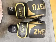 Item thumbnail for item 44d98247-7d9d-4d9a-92cc-bf2f4455e19a