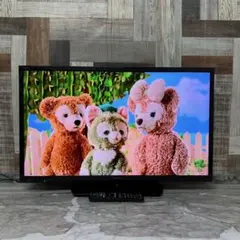 全国送料込❣️ティーズネット50型テレビ東芝製LSI搭載Wチューナ新品