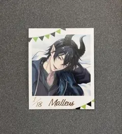 ツイステ フォト風カードコレクション（くつろぎマイルームver.） マレウス