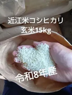 農薬不使用♦️10kg玄米】新潟県長岡産コシヒカリ✴︎最高級希少米