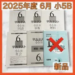 育伸社 学力テスト 2025年 6月 小5 B 4科 解答解説 国 社 算 理