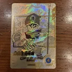 APT-007 孫悟飯　少年期　パラレル