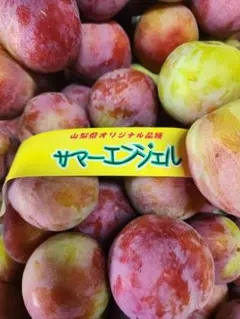 訳あり小玉 山梨県産 すもも サマーエンジェル 農家直送のサムネイル