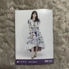 菅原咲月 生写真 Actually 初回仕様限定盤 封入 ヒキ 乃木坂46