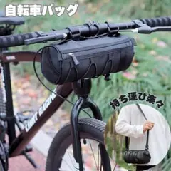 Item thumbnail for item b39f4249-b6f4-4194-a643-658c7688bcc9