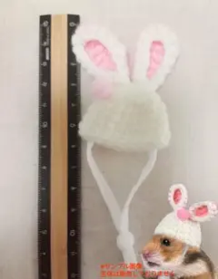 Item thumbnail for item a7a58cdc-164a-4802-861e-bccf55e255fb