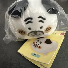 パグ　ナガノキャラクターズ　ねそべりぬいぐるみ