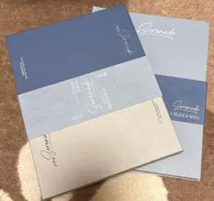 SEVENTEEN ドギョム スングァン dxs CD セット