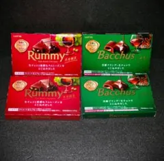 冬季限定LOTTE Rummy & Bacchus チョコ2種類×2箱セット