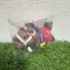 Item thumbnail for item c65ccdad-7e60-4ca0-9c9c-aca7e7d28b3a