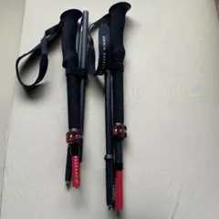 Item thumbnail for item 6b54ec51-330a-45d4-8abd-82640a3b4317