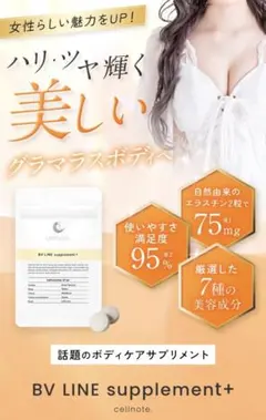 【美乳へ！】セルノート3袋(未開封)のサムネイル