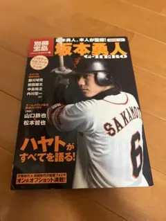 Item thumbnail for item 1e378845-9d2b-4a9d-b3c8-3d293d619e11