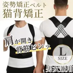 Item thumbnail for item 20ccf694-7c15-466d-b1e5-51319c6d099f