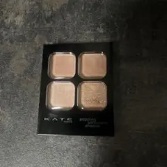 KATE ポッピングシルエットシャドウ OR-1