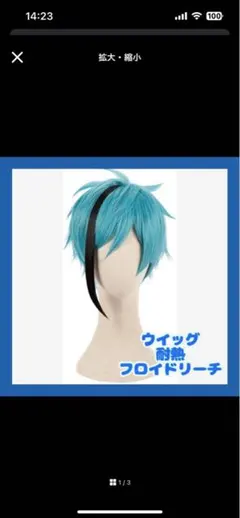 2025年最新】フロイド ウィッグの人気アイテム - メルカリ