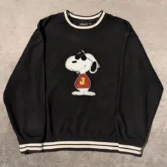 PEANUTS スヌーピー 刺繍スウェット ユニセックス90s風　キャラ古着